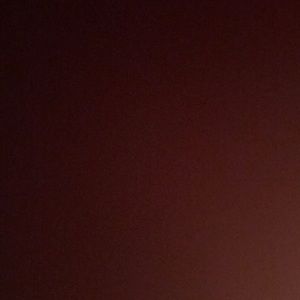 Meet your Posher, Kiara